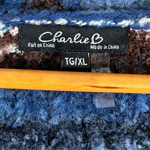 Charlie B Women’s Striped V-neck Sweater Boxy Oversized Sz XL Multi Colour Wool - Picture 8 of 10